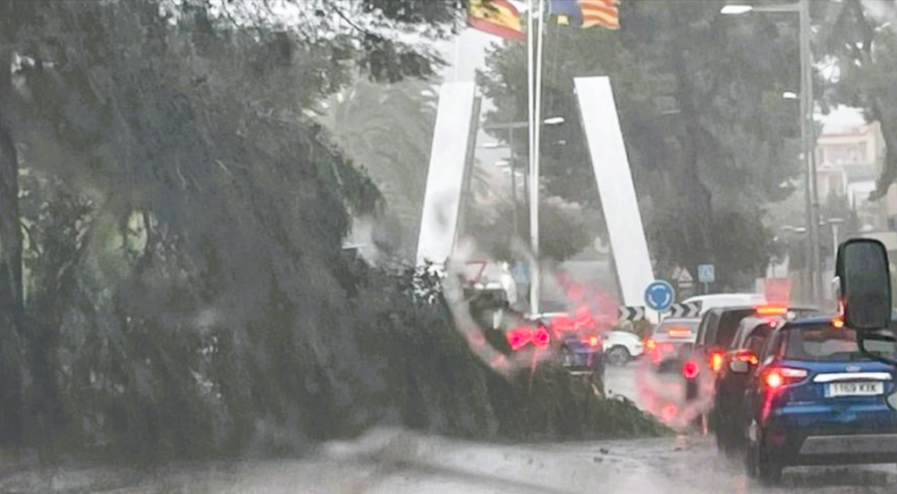 Unwetterchaos Auf Mallorca! Flüge Gestrichen, Wasser Bricht Im ...